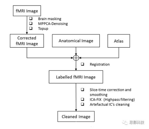 思影科技嚙齒類動物神經影像數據處理業務流程圖6個圖例詳解