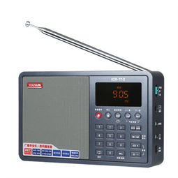 德生ICR110 收音機 音響 復(fù)讀機 錄音機 插卡 TF卡播放 MP3播放器 廣播 灰色 收錄 音機產(chǎn)品圖片3