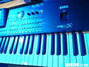 樂韜影音制作,專業音響器材設備租賃 音響出租 音樂制作 錄音制作,變魔術及氣球造型服務,另設合適的唱歌舞臺,歡迎夾band 唱歌